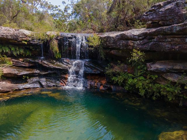 Royal National Park